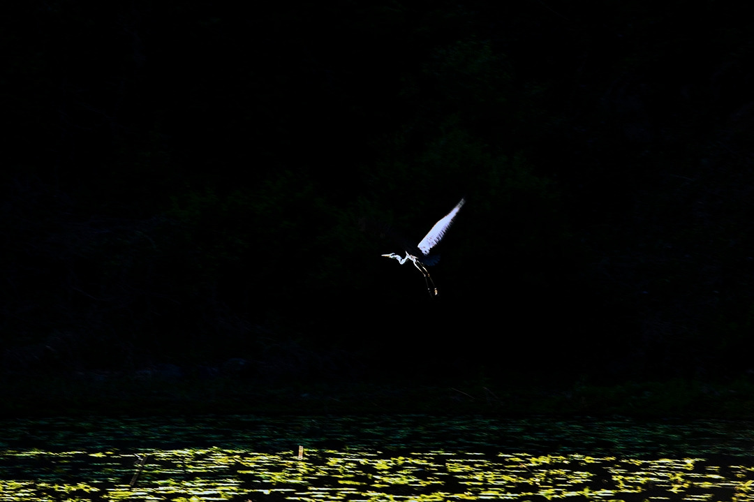 도마마을 (10).jpg