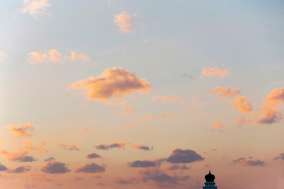 기쁜 아름다움 (8).jpg