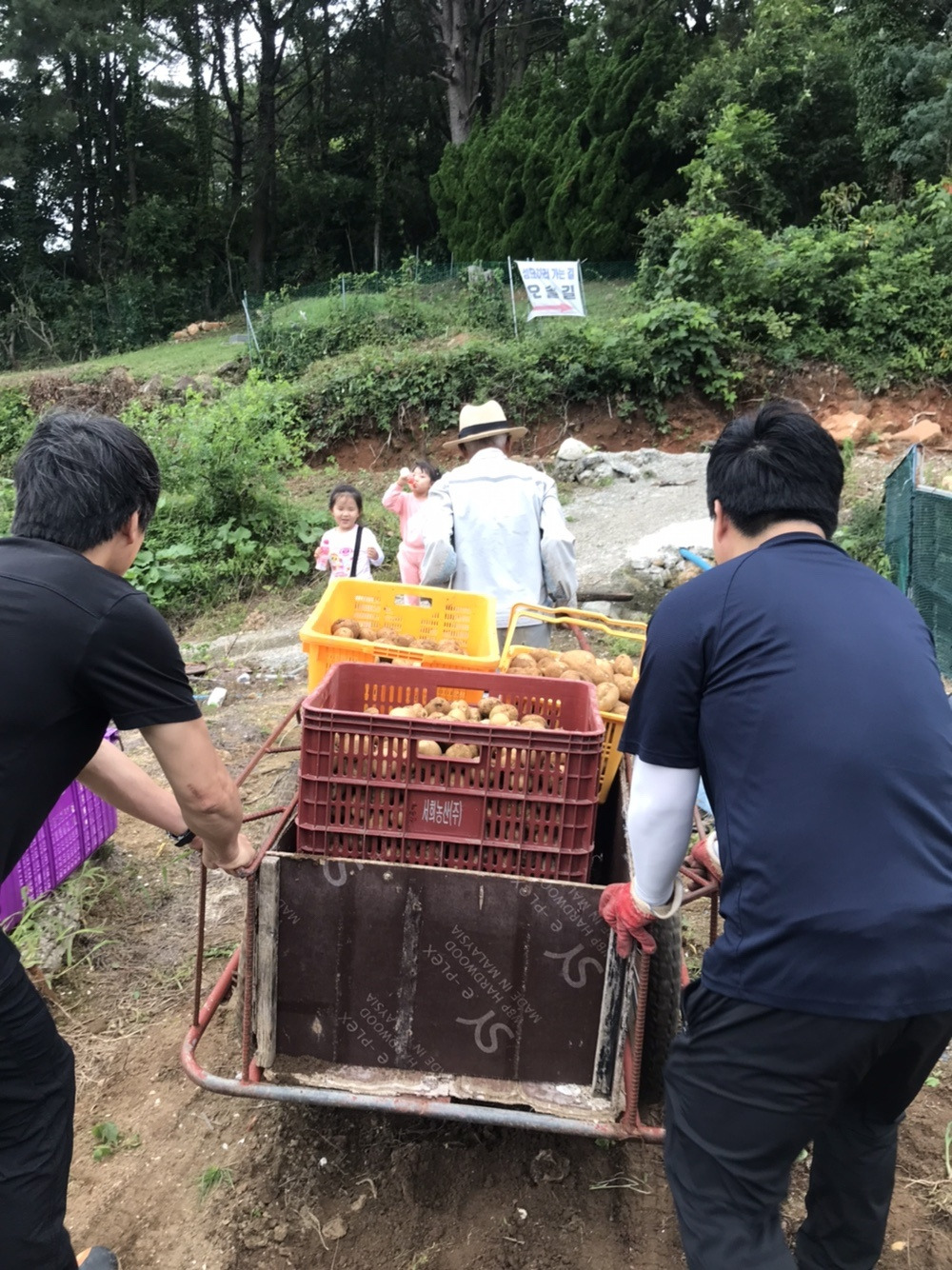 사본 -1730024915707.jpg