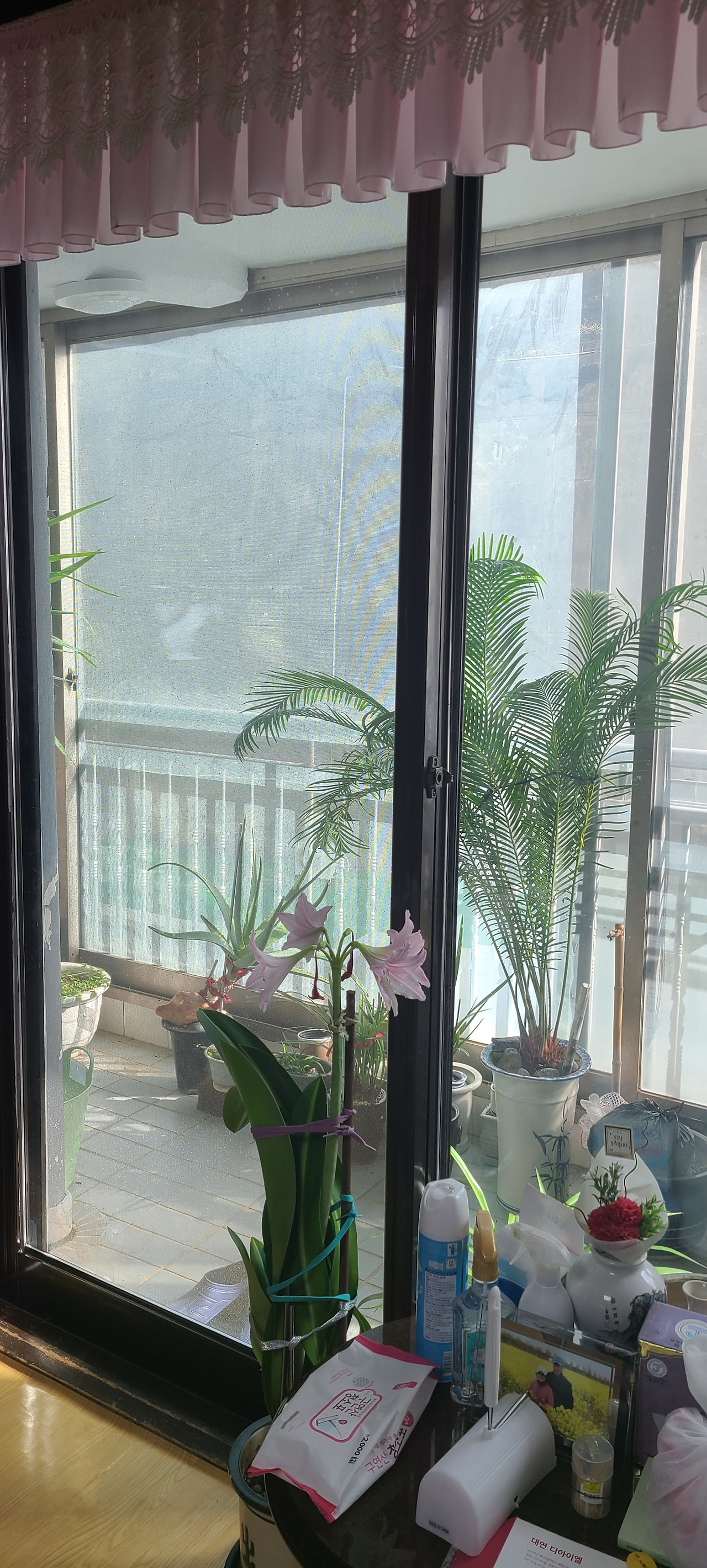 사본 -20240127_134046.jpg