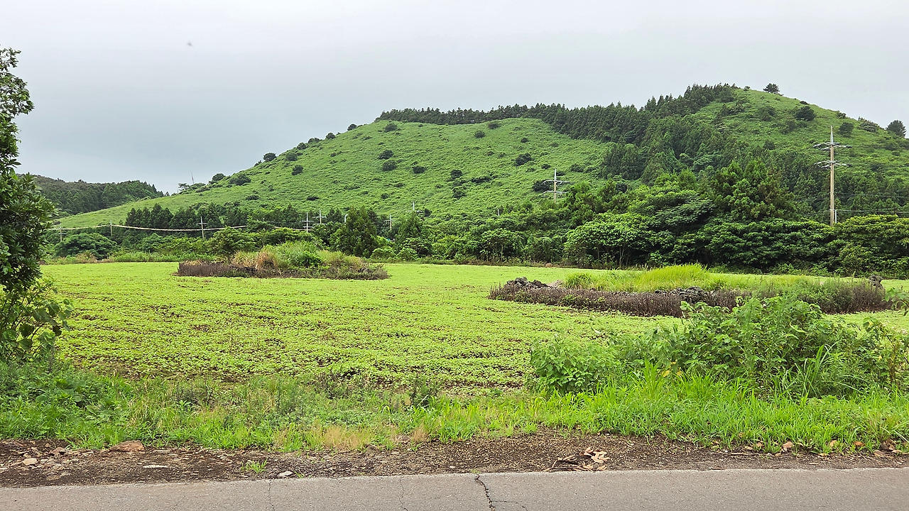 KakaoTalk_20250915_110350479_17 (1).jpg