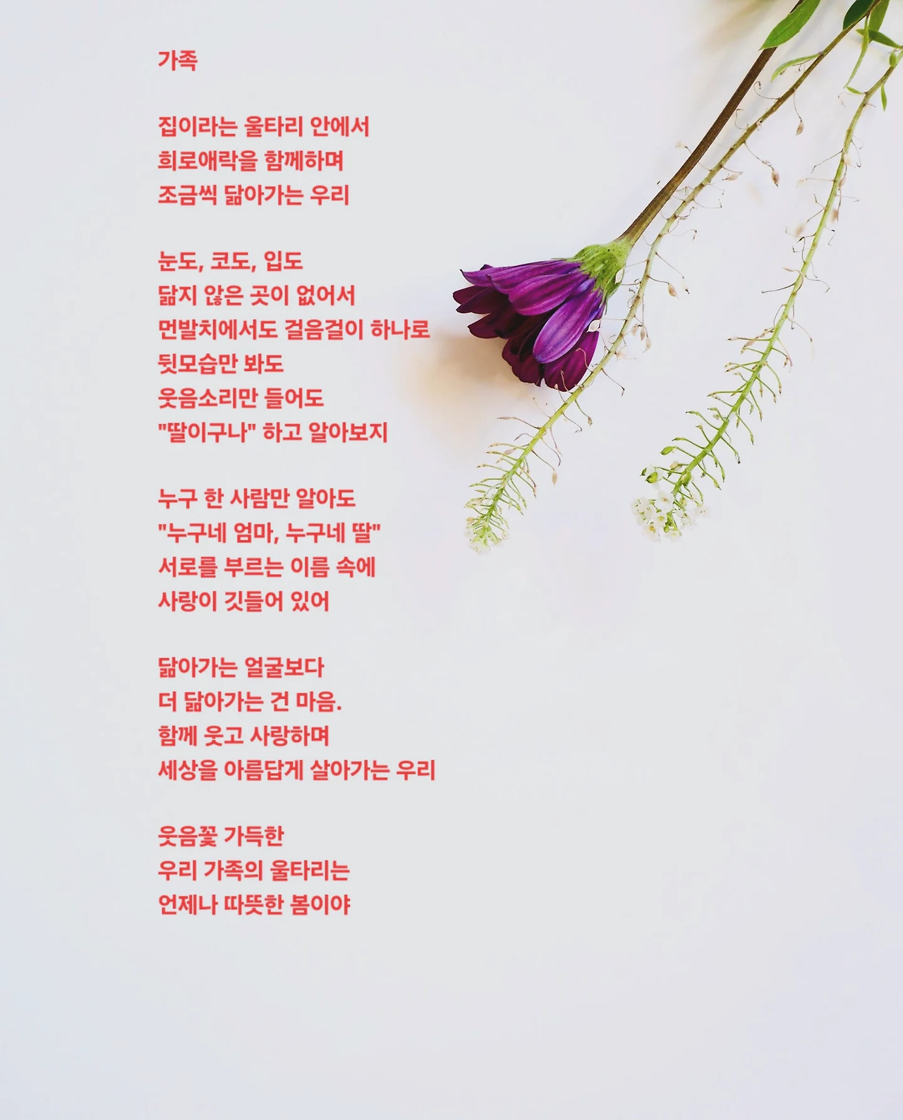 카지노 게임 추천