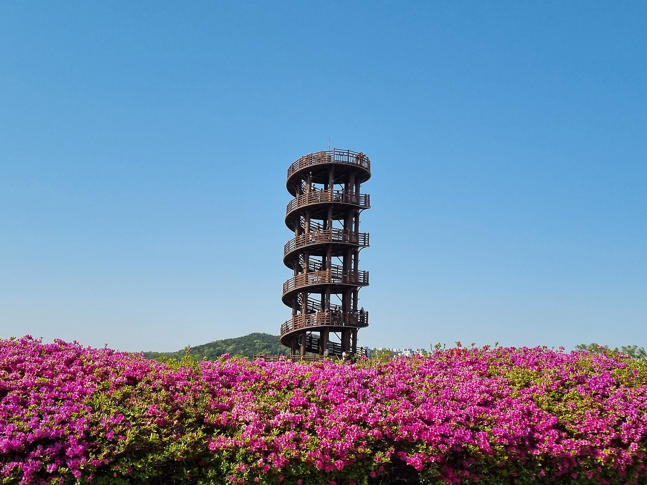 무료 카지노 게임