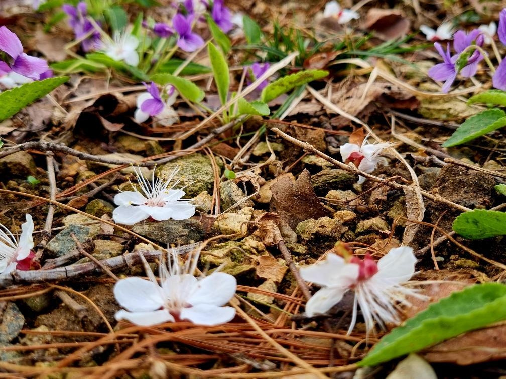 카지노 게임 사이트