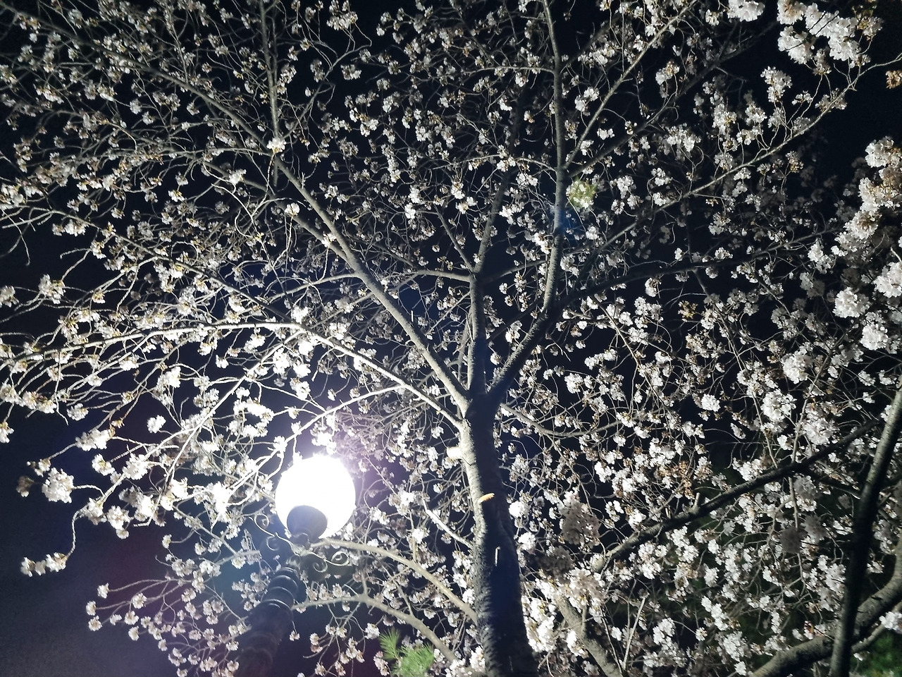 카지노 게임