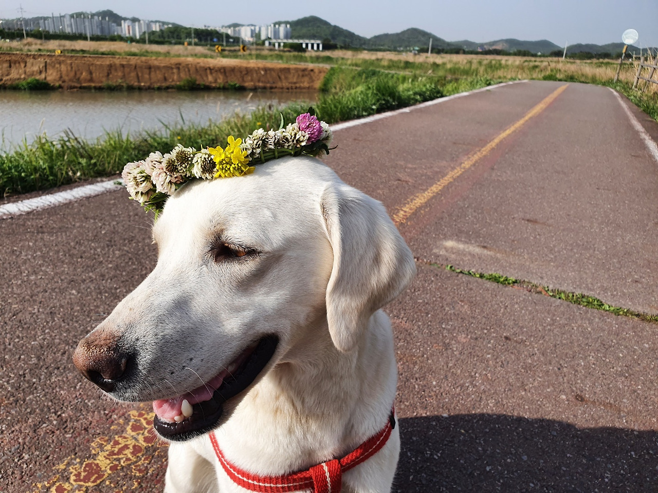 무료 카지노 게임