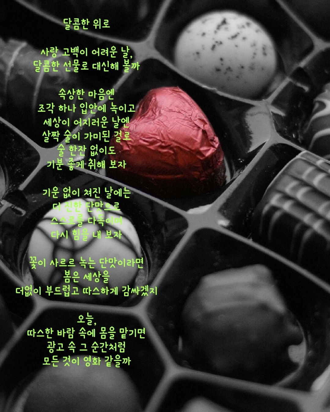 카지노 가입 쿠폰