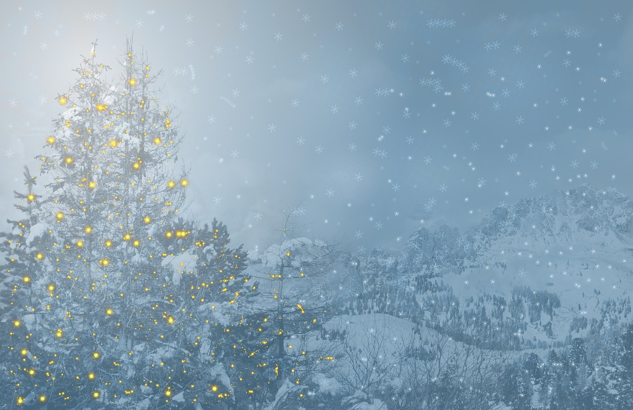 christmas-2977561_1280.jpg