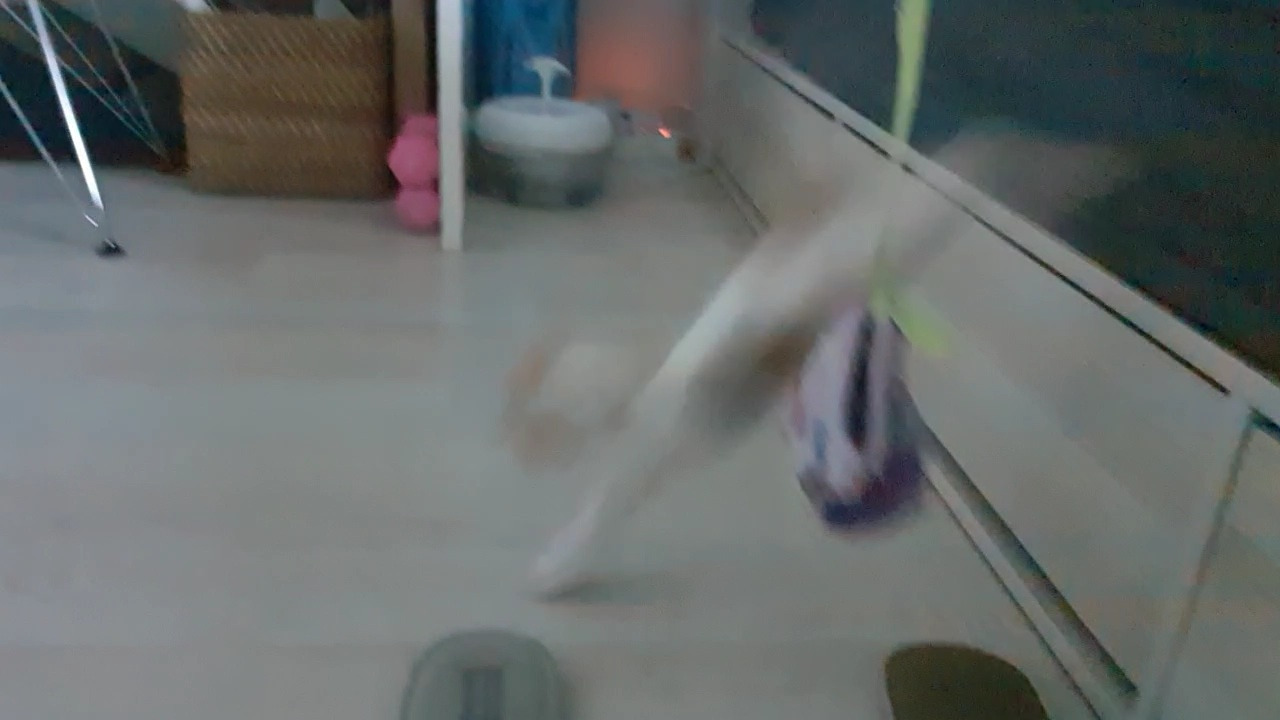 VideoCapture_20201024-195203.jpg