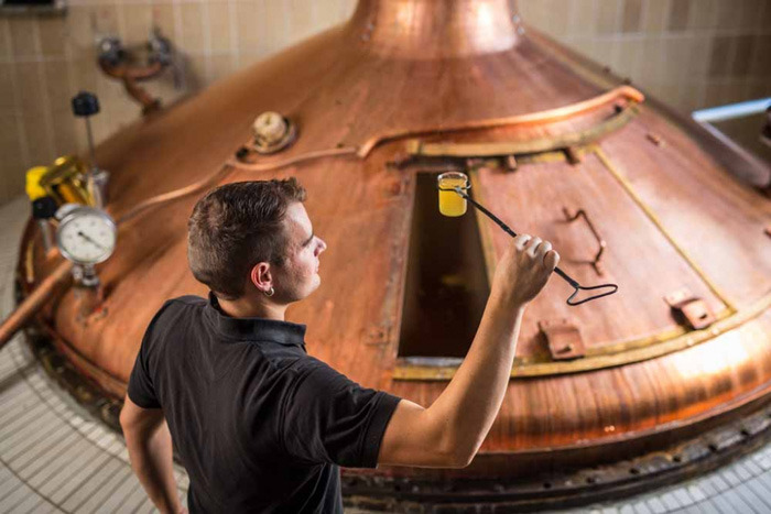 The Brewmaster's critical eye.jpg