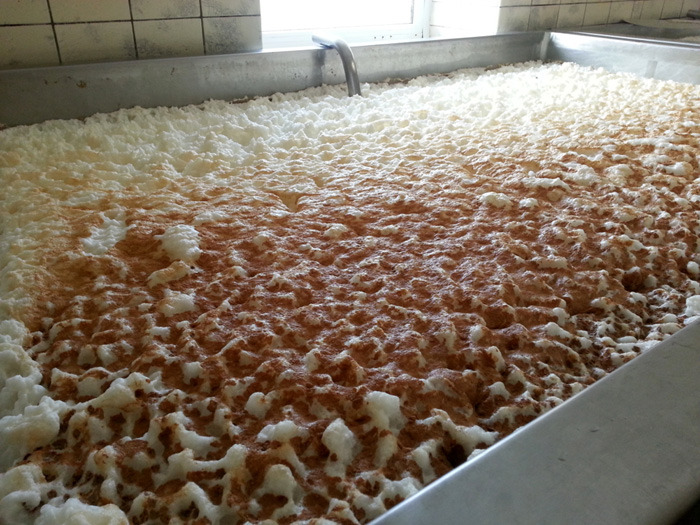 Open fermentation.jpg