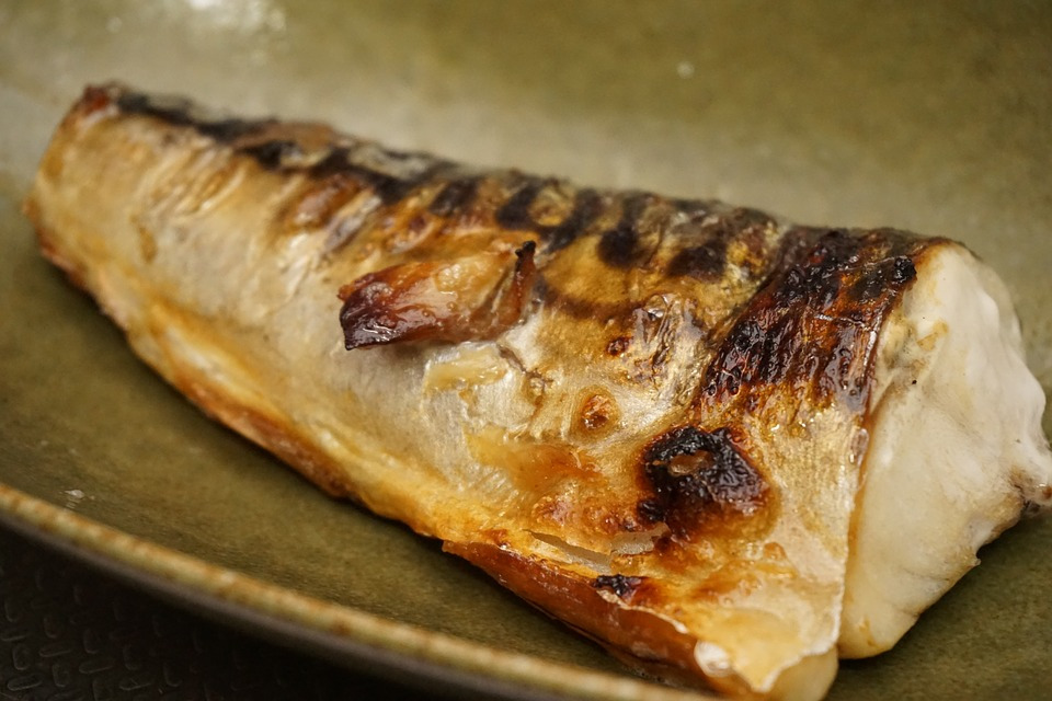 mackerel-1747657_960_720.jpg