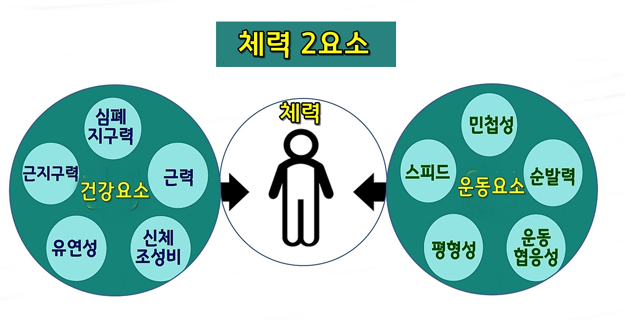 체력2요소.jpg