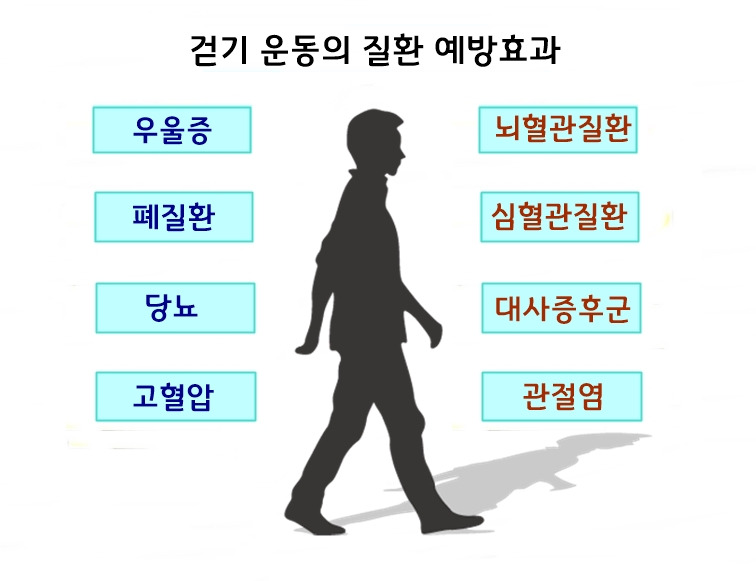 걷기운동.jpg