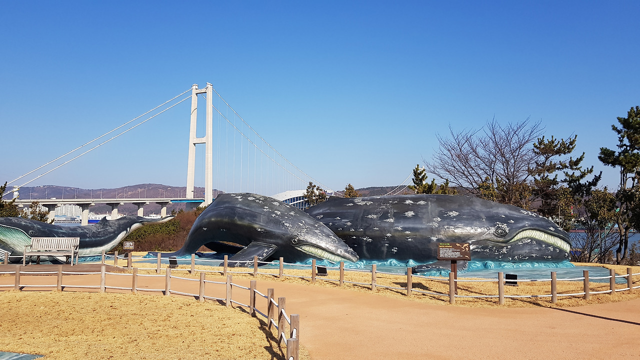 장생포 고래문화마을 (41).jpg