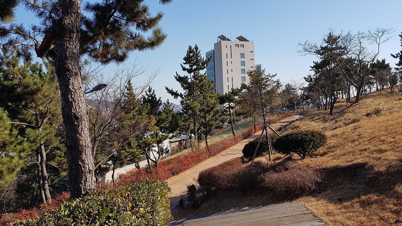 장생포 고래문화마을 (15).jpg