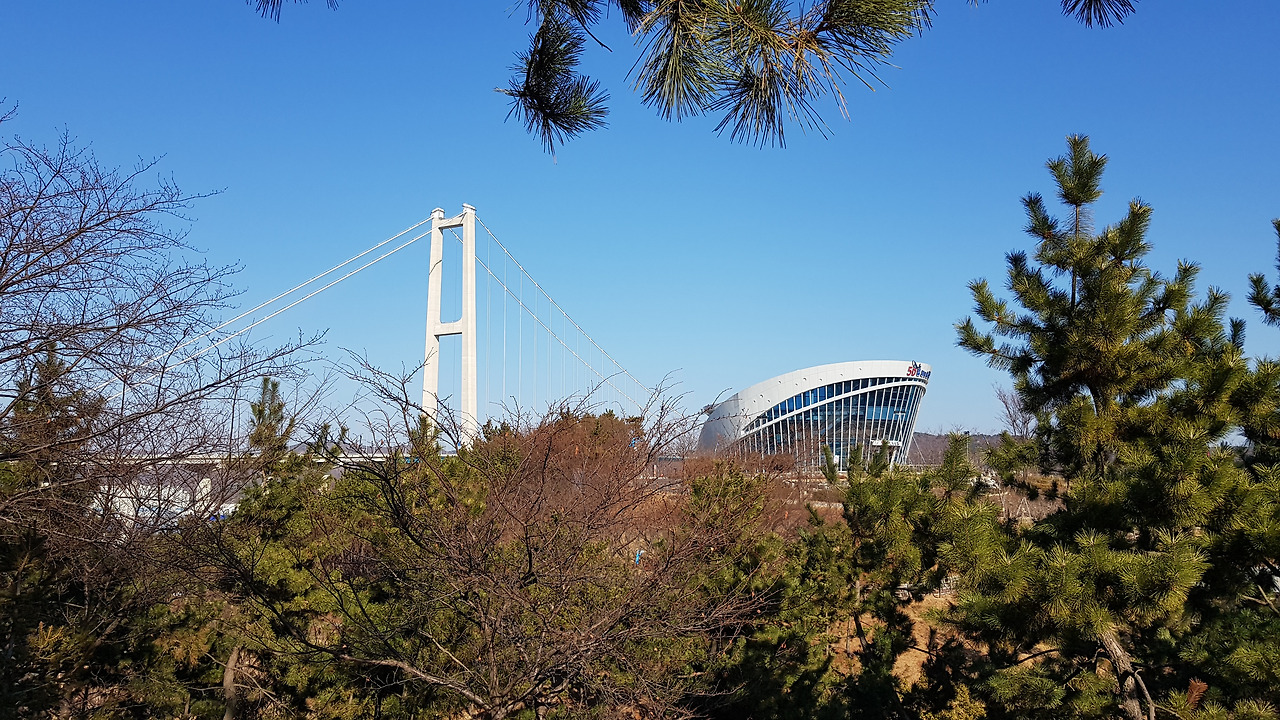 장생포 고래문화마을 (16).jpg