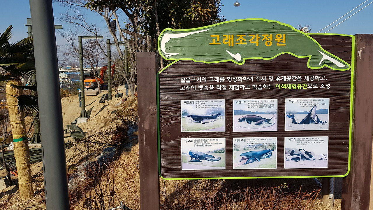 장생포 고래문화마을 (38).jpg