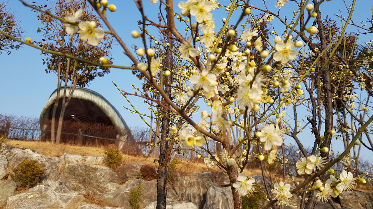 장생포 고래문화특구 (5).jpg