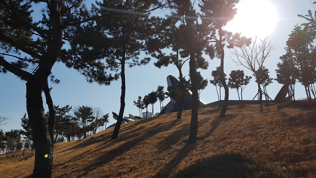 장생포 고래문화마을 (14).jpg