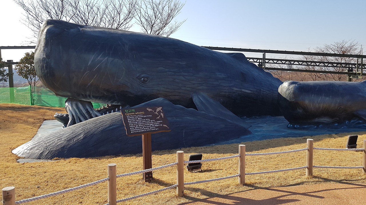 장생포 고래문화마을 (4).jpg