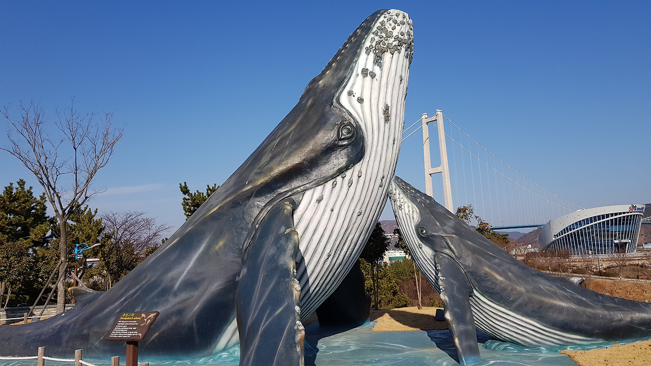 장생포 고래문화마을 (8).jpg