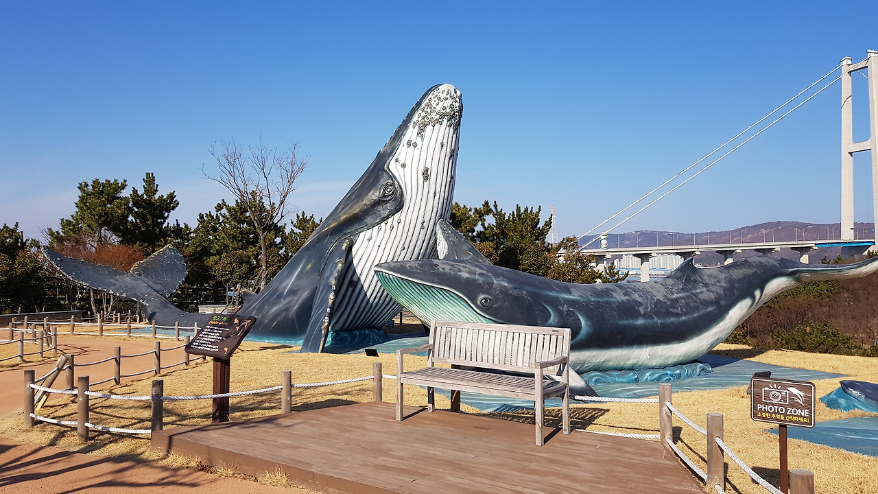 장생포 고래문화마을 (45).jpg