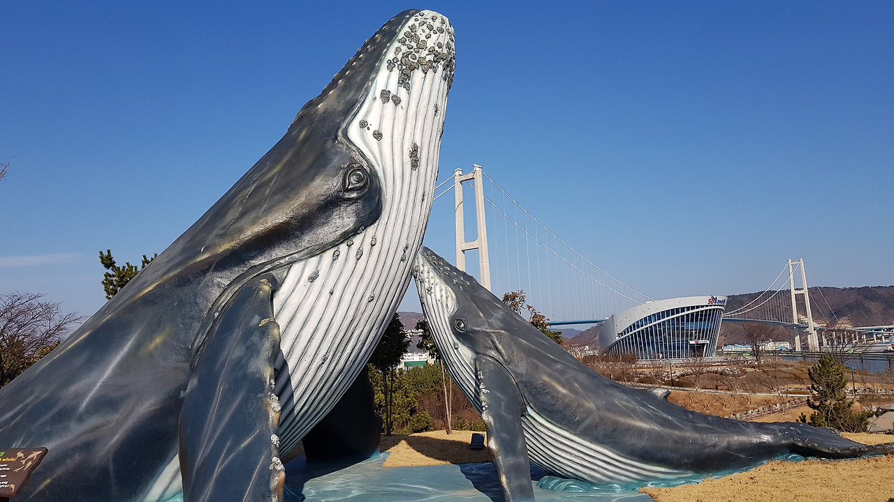 장생포 고래문화마을 (9).jpg