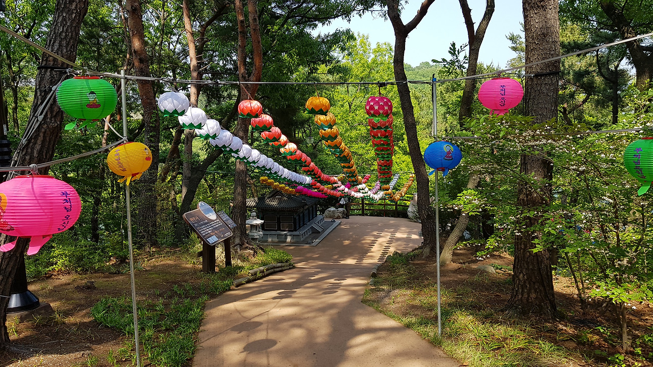 부처님 오신 날을 앞두고 연등이 달려 있는 안민사.jpg