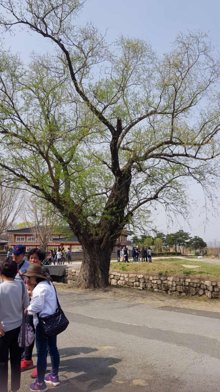 경주 양동마을 (25).jpg