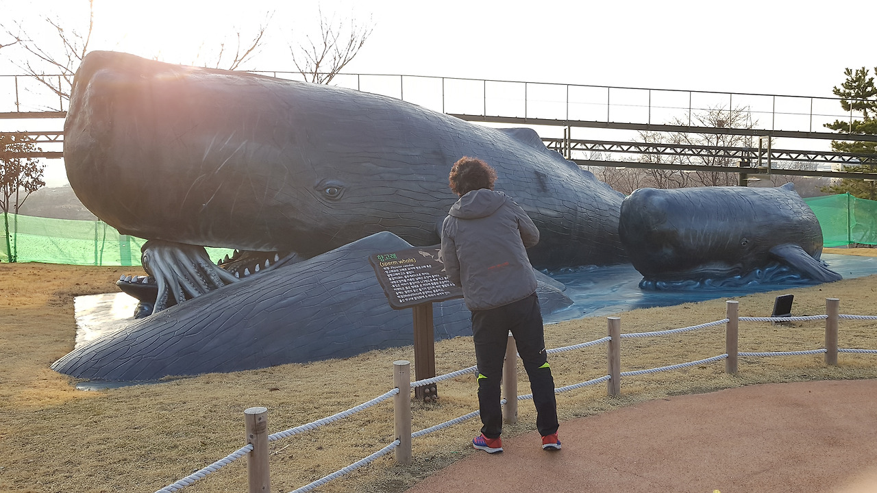 장생포 고래문화특구 (22).jpg