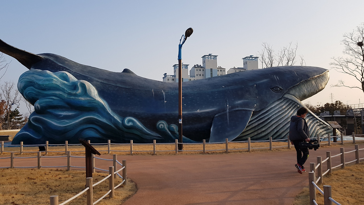 장생포 고래문화특구 (27).jpg
