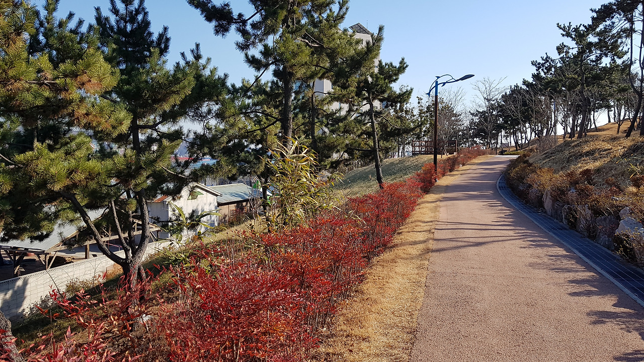 장생포 고래문화마을 (17).jpg