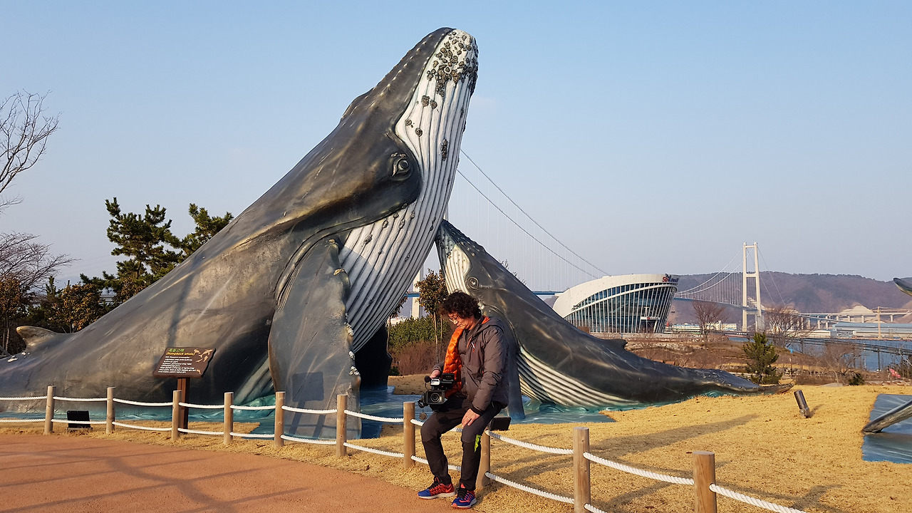 장생포 고래문화특구 (24).jpg