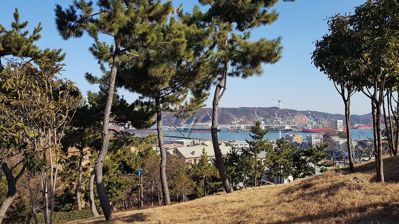 장생포 고래문화마을 (12).jpg