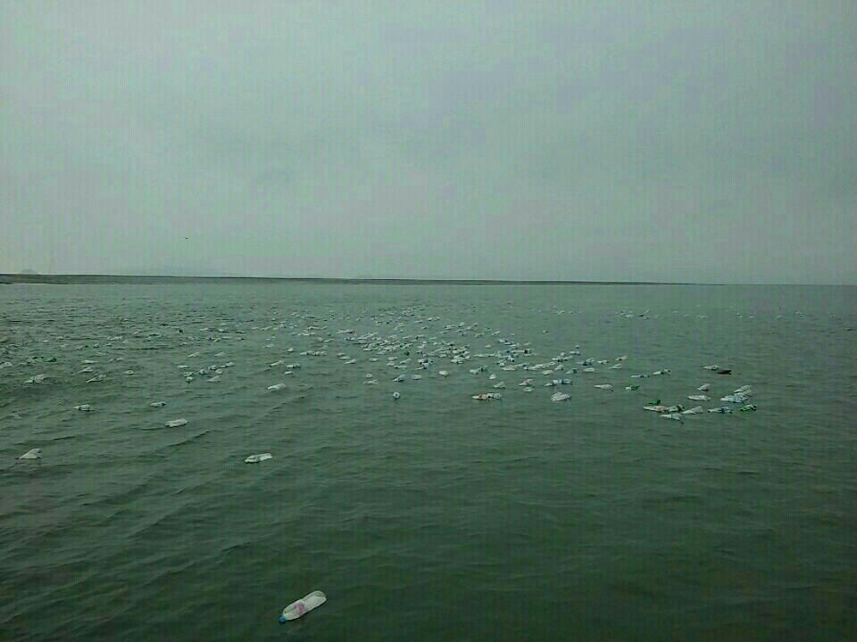 주찬양교회 사랑의 쌀보내기 (5).jpg