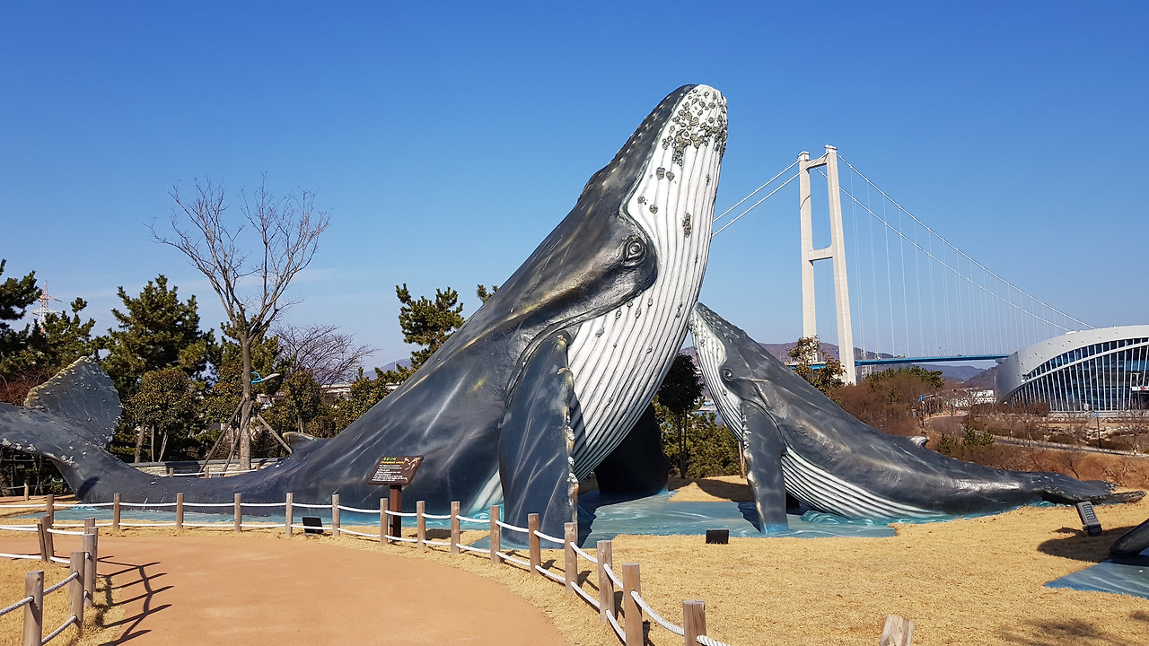 장생포 고래문화마을 (7).jpg
