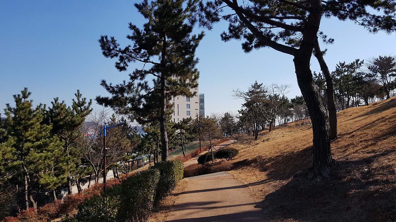 장생포 고래문화마을 (13).jpg