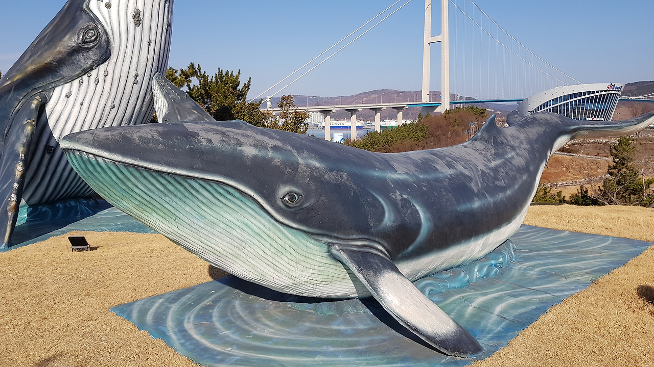 장생포 고래문화마을 (1).jpg