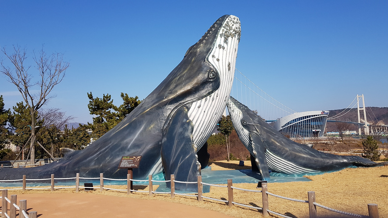 장생포 고래문화마을 (6).jpg