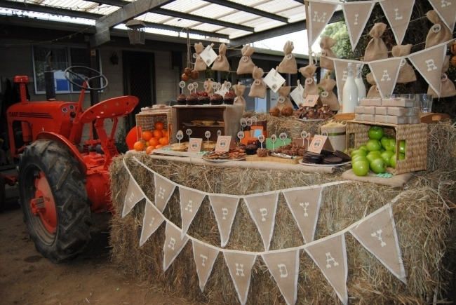 5-farm-tractor-boys-birthday-party.jpg