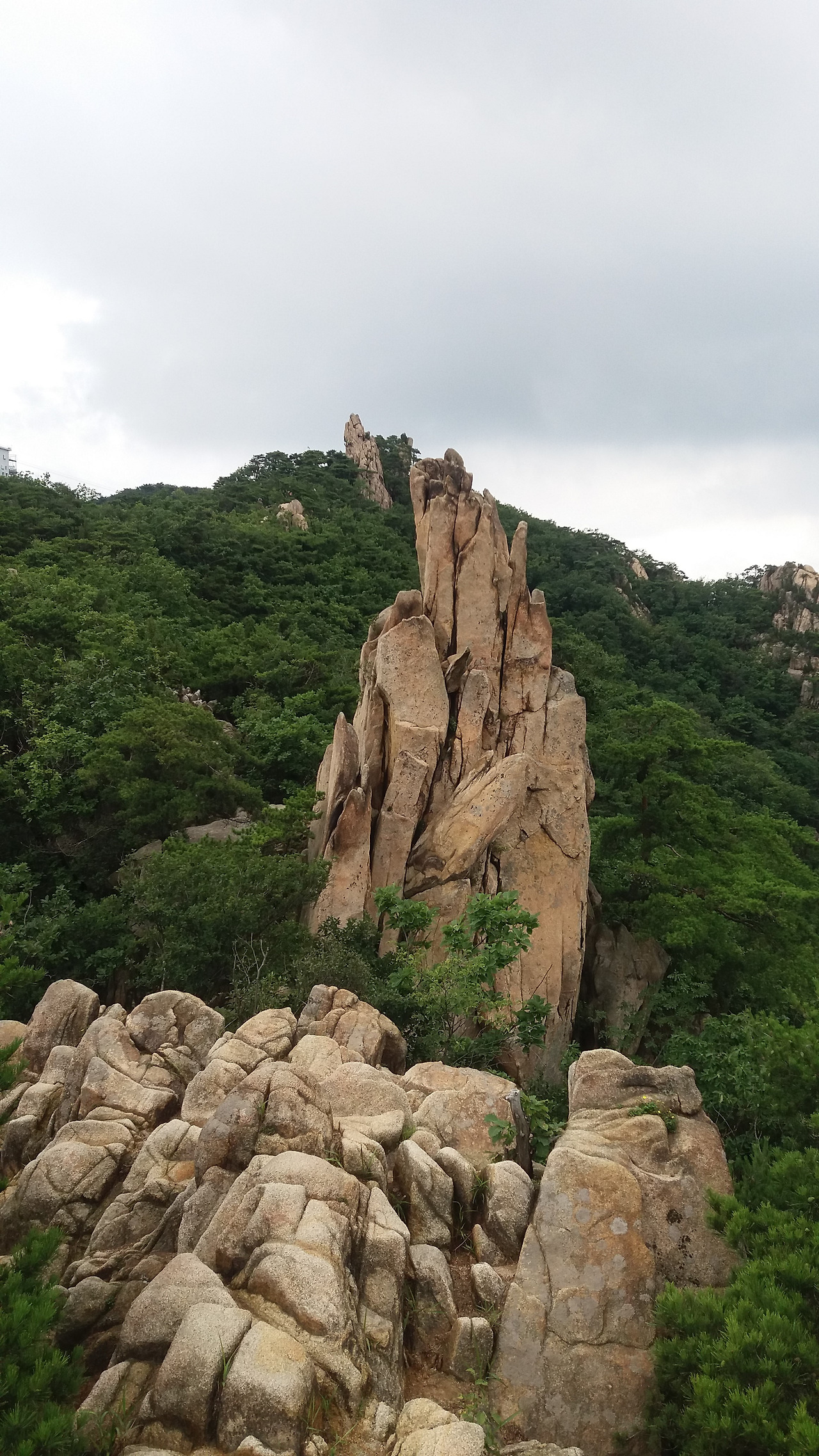 20170729_관악산 돌고래.jpg