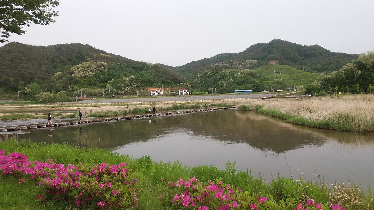 20160508_합천 황강.jpg