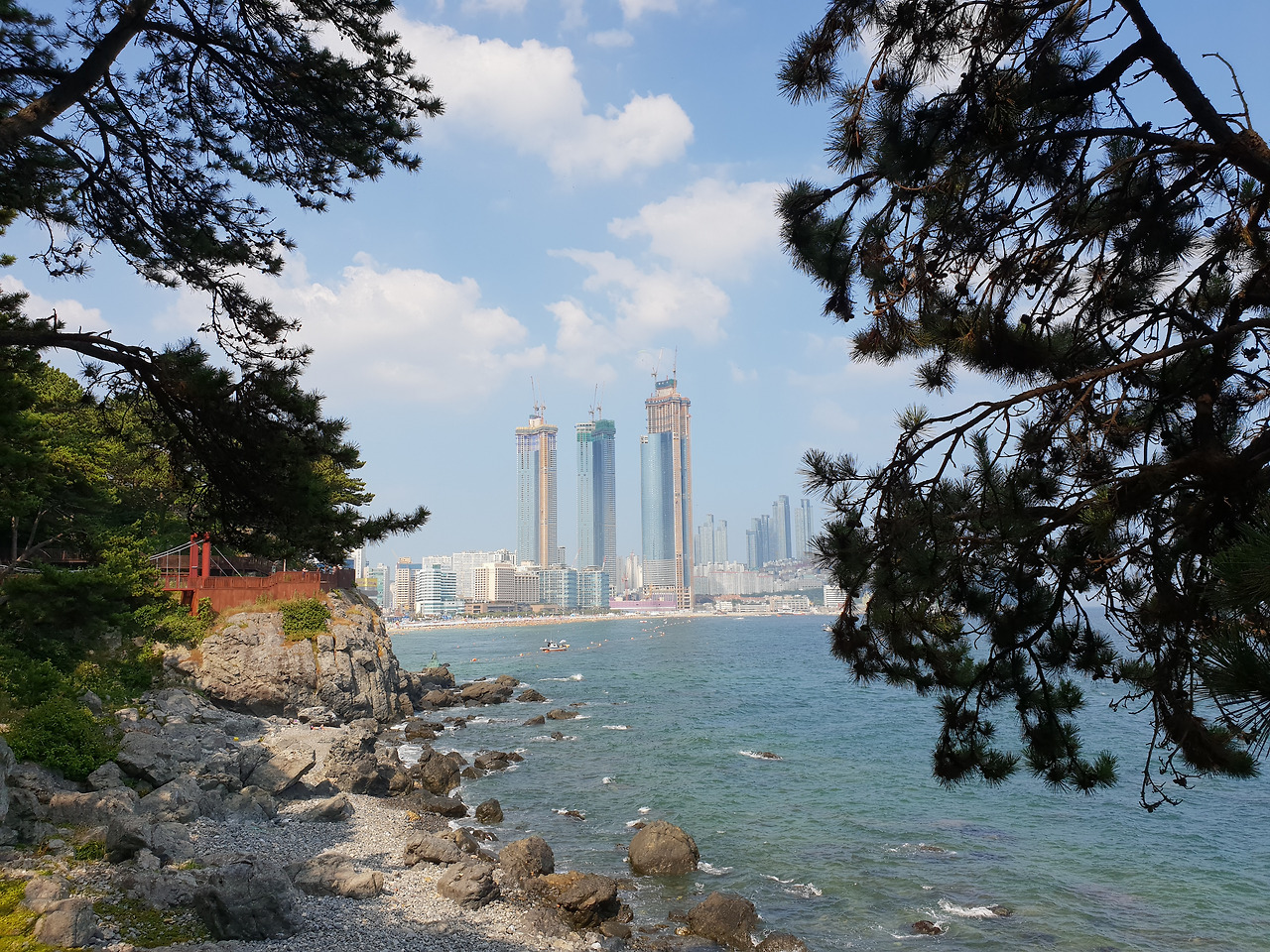 해운대 LCT-소나무.jpg