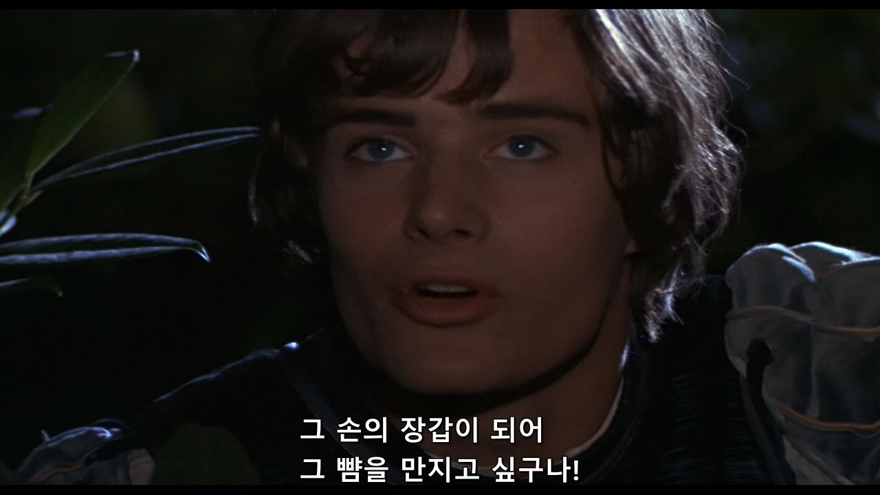 로미오와 줄리엣.Romeo and Juliet.1968.mkv_20250521_231329.687.jpg