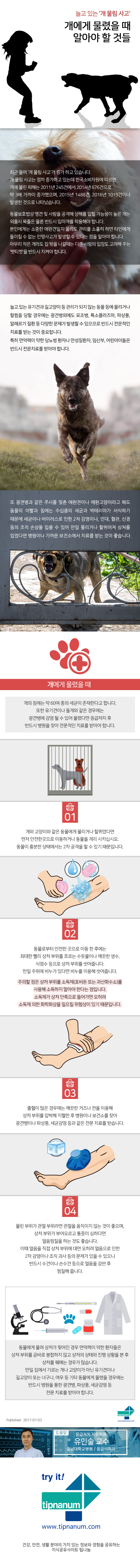세이프티_늘고 있는 '개 물림 사고' 개에게 물렸을 때 알아야 할 것들_170630_최종.jpg