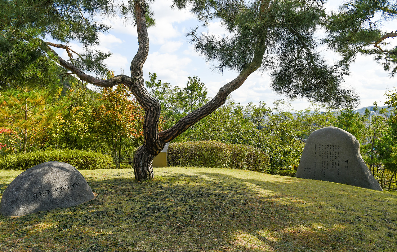 윤동주시인의 언덕.jpg