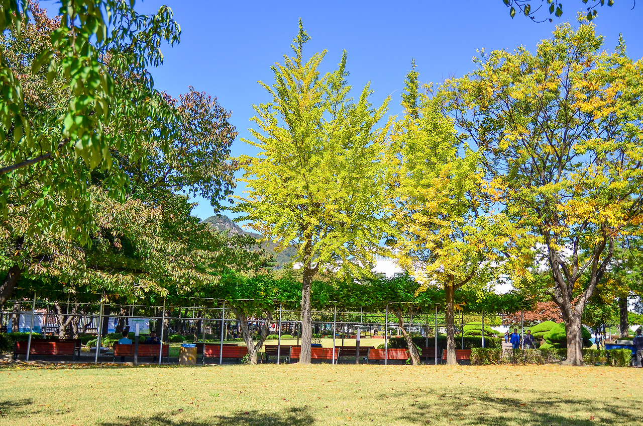 북촌 정독도서관-2.jpg