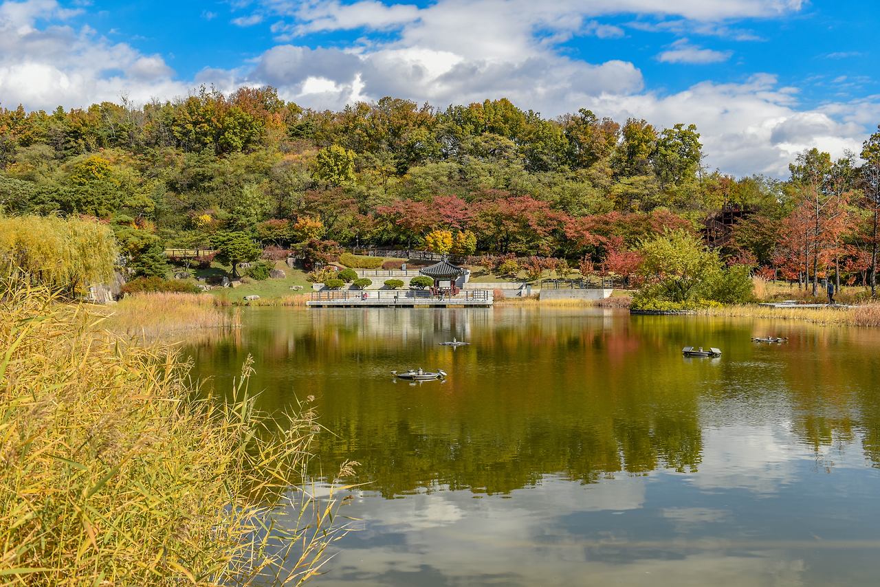 북서울꿈의숲 월영지.jpg