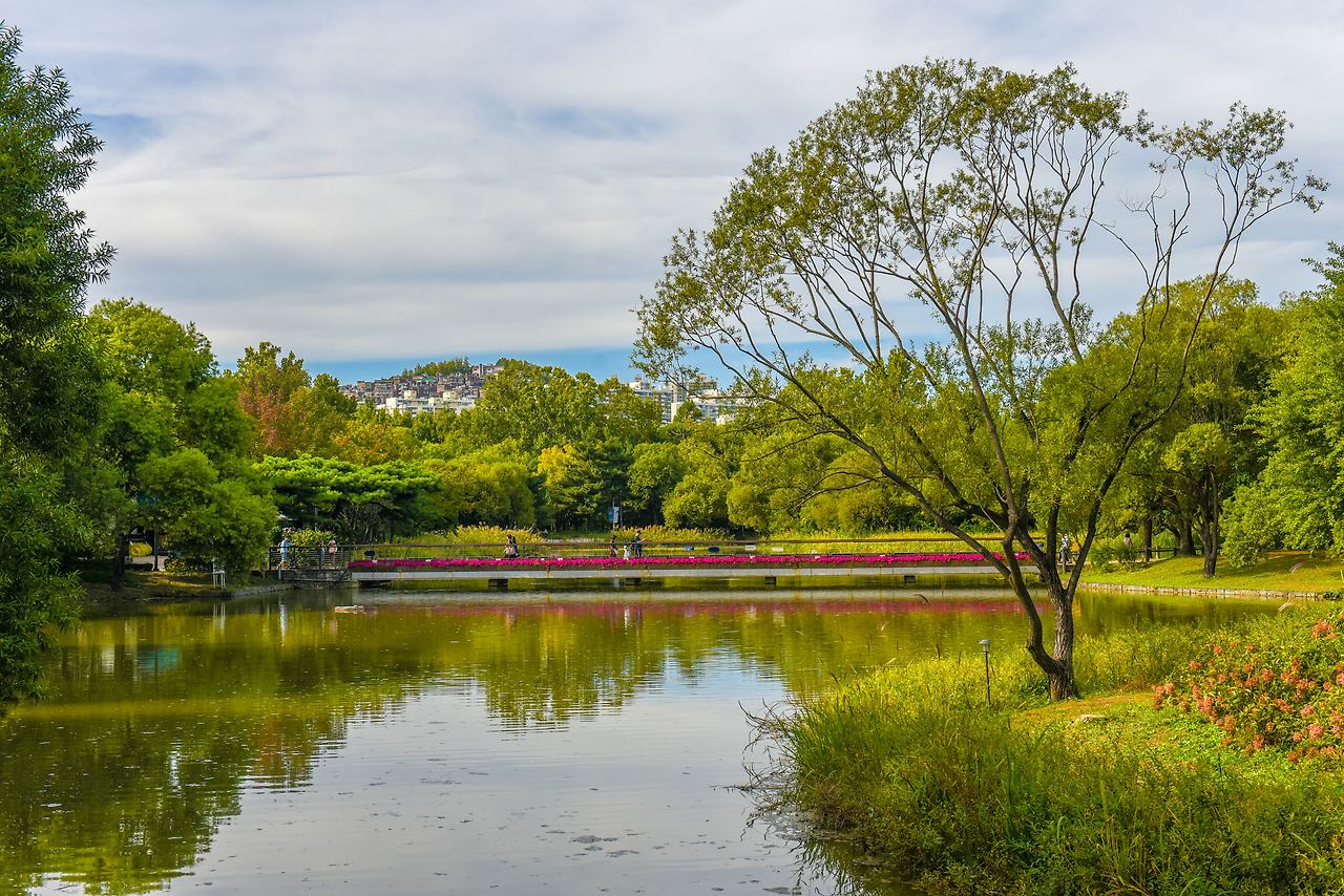 서울숲 습지생태원.jpg